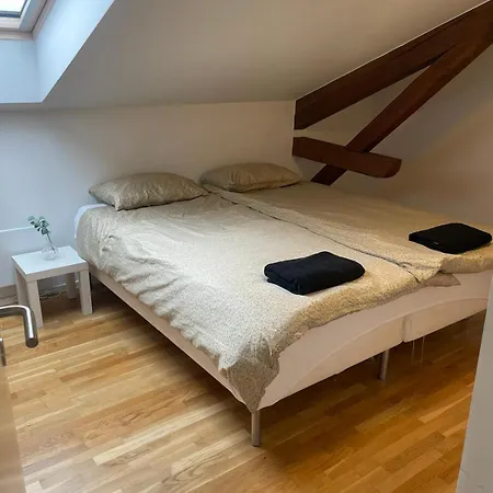 Big And In Center Apartamento Oslo